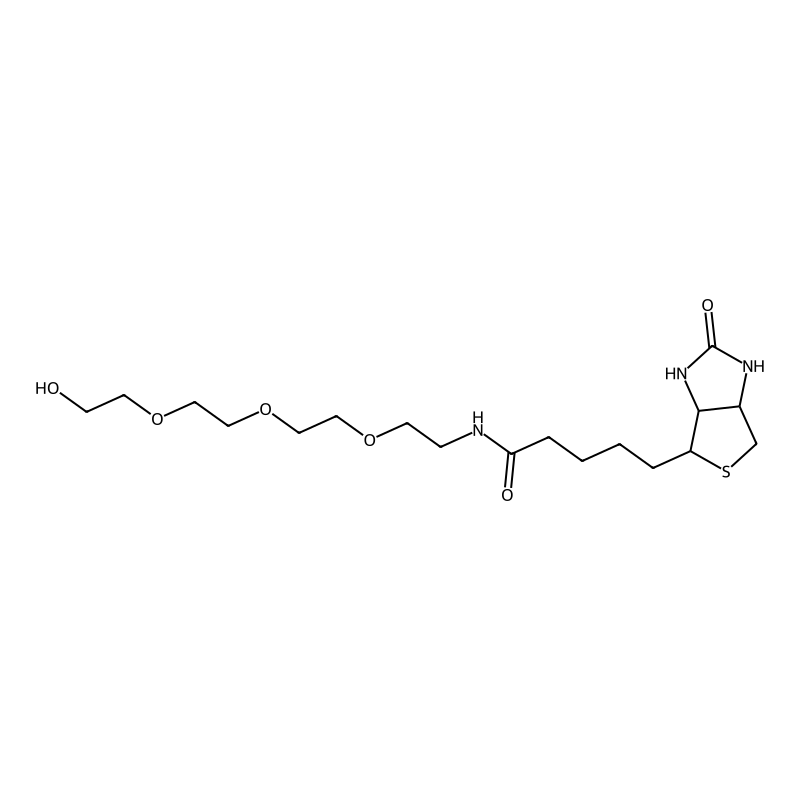 Biotin-PEG4-OH