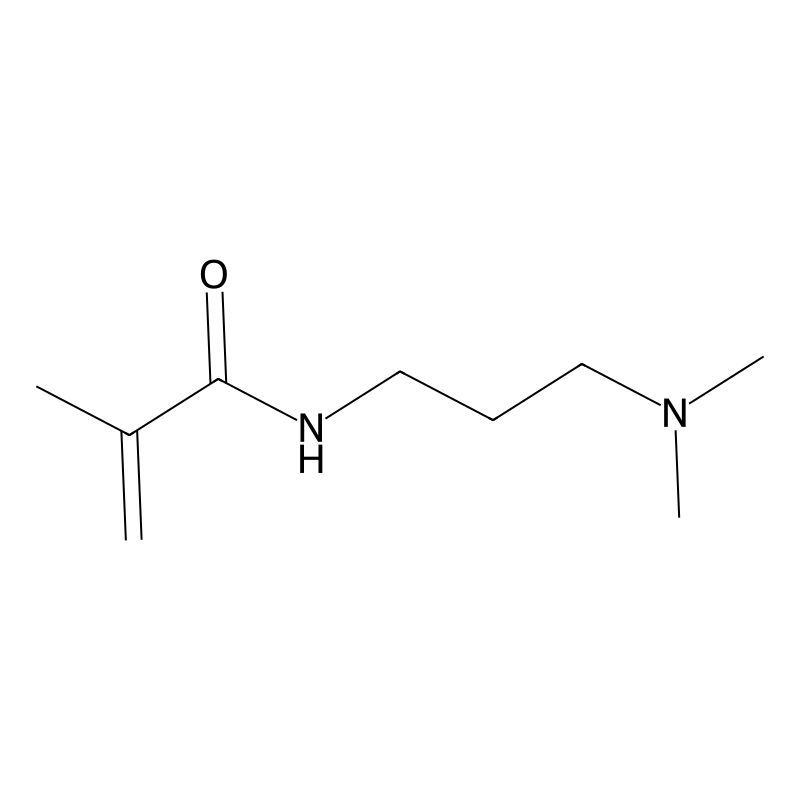 N-(3-(Dimethylamino)propyl)methacrylamide