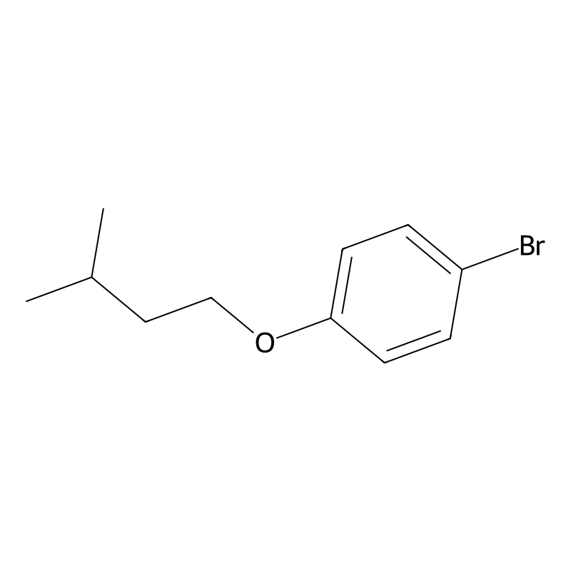 1-Bromo-4-(isopentyloxy)benzene
