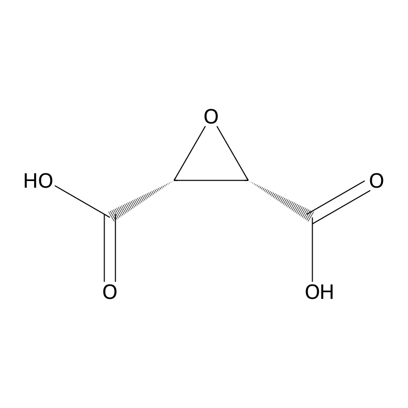 cis-Epoxysuccinic acid