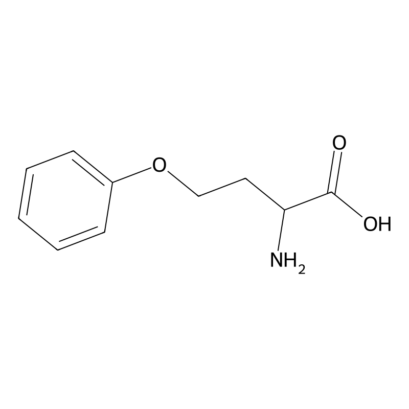 2-Amino-4-phenoxybutanoic acid