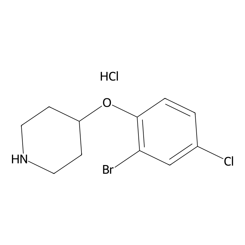 4-(2-Bromo-4-chlorophenoxy)piperidine hydrochlorid...