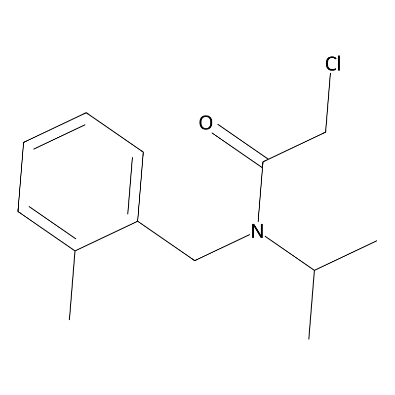 2-Chloro-N-isopropyl-N-(2-methyl-benzyl)-acetamide