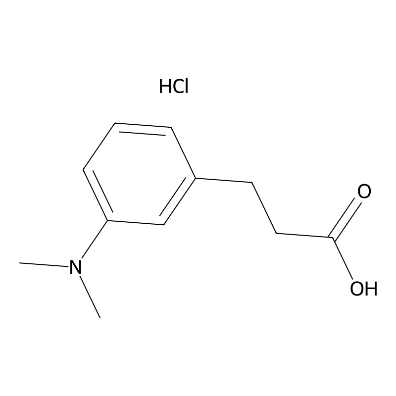 3-[3-(Dimethylamino)phenyl]propanoic acid hydrochl...