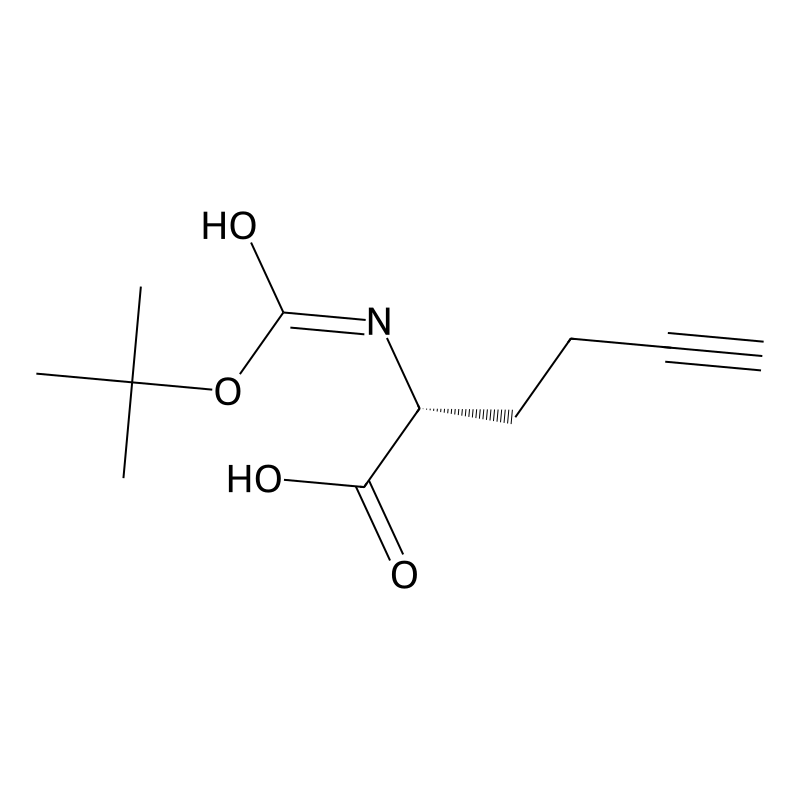 Boc-D-homopropargylglycine