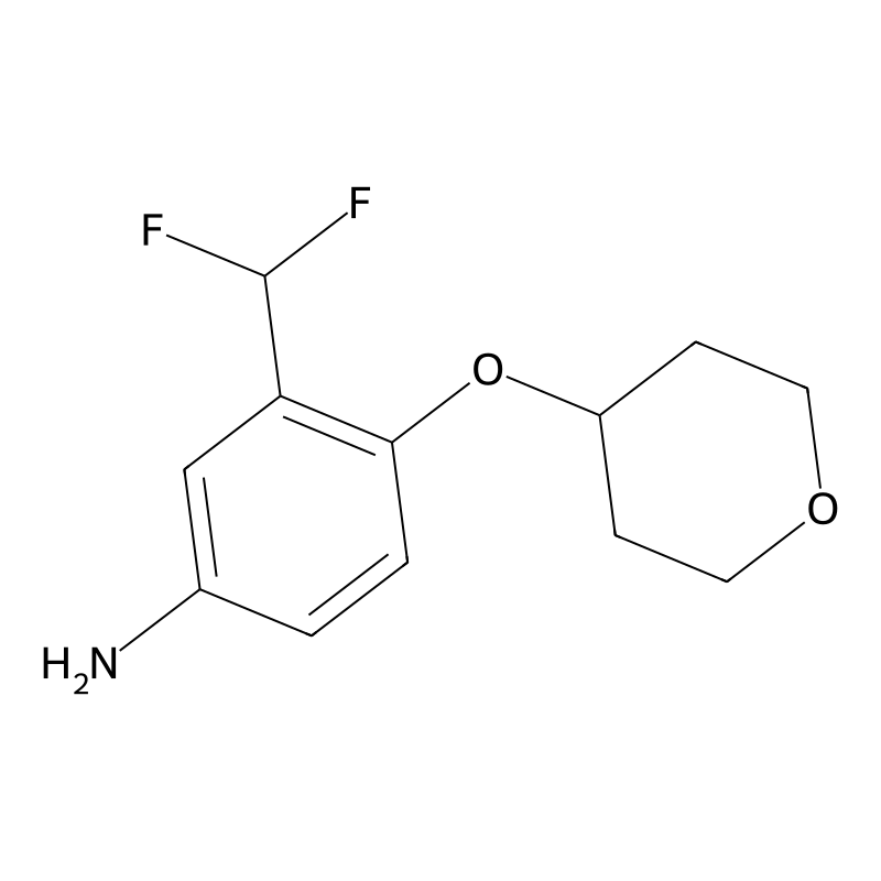 3-(Difluoromethyl)-4-(oxan-4-yloxy)aniline