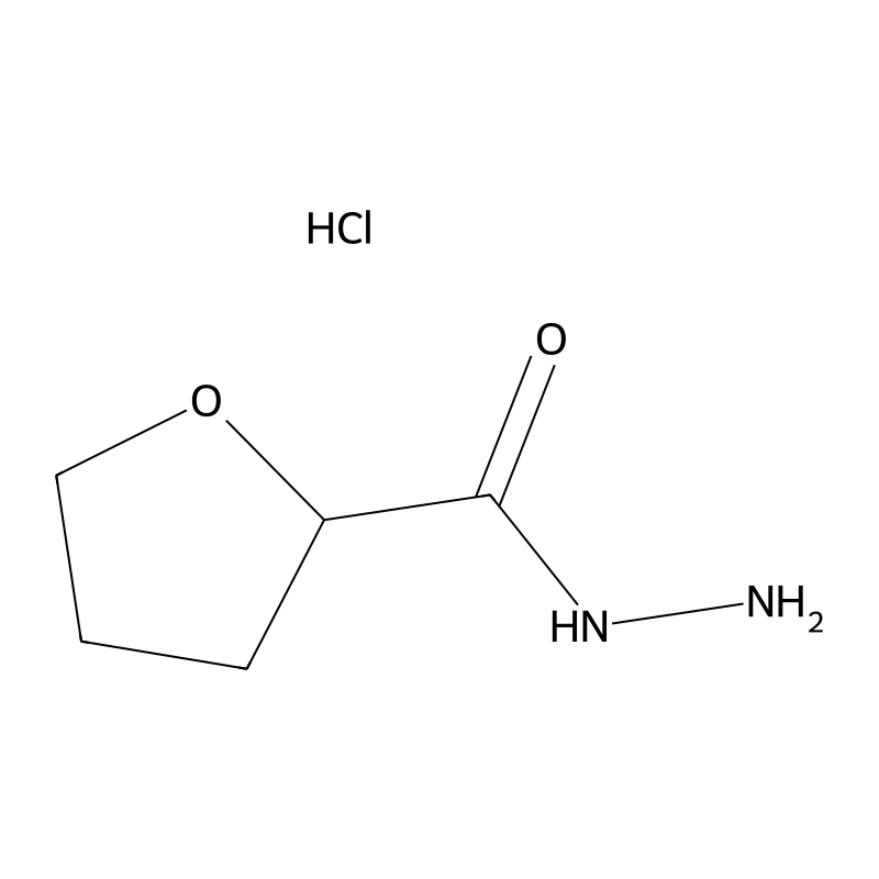 Tetrahydrofuran-2-carboxylic acid hydrazide