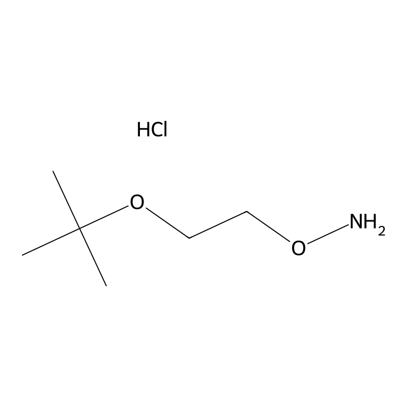 O-(2-tert-Butoxy-ethyl)-hydroxylamine hydrochlorid...