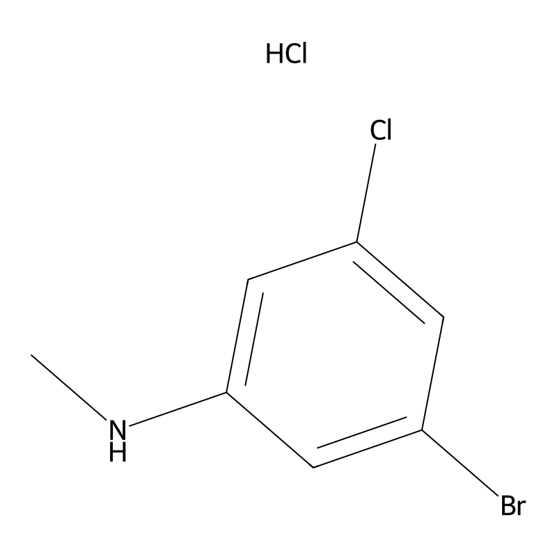 (3-Bromo-5-chloro-phenyl)-methyl-amine hydrochlori...