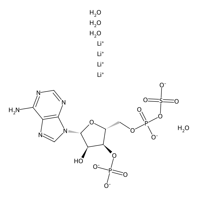Adenosine 3-phosphate 5-phosphosulfatelithium