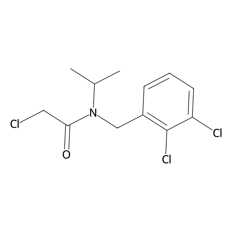 2-Chloro-N-(2,3-dichloro-benzyl)-N-isopropyl-aceta...