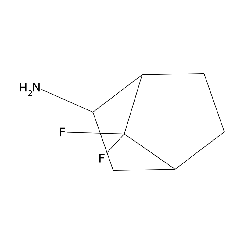 7,7-Difluorobicyclo[2.2.1]heptan-2-amine