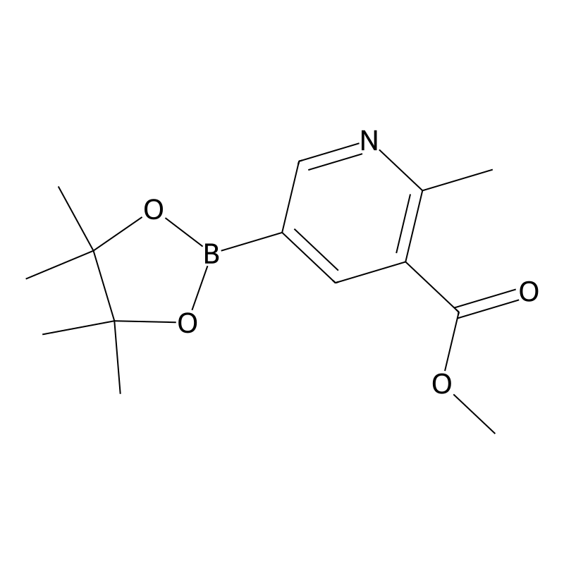 Methyl 2-methyl-5-(4,4,5,5-tetramethyl-1,3,2-dioxa...
