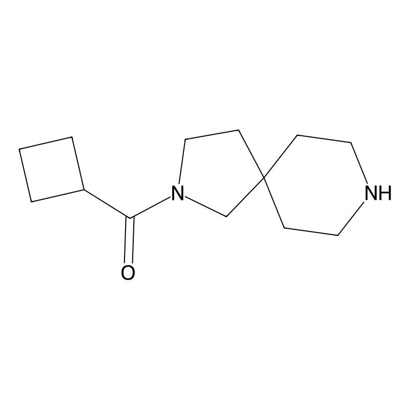 Cyclobutyl(2,8-diazaspiro[4.5]decan-2-yl)methanone