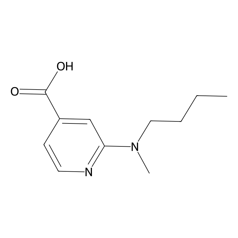 2-[Butyl(methyl)amino]isonicotinic acid