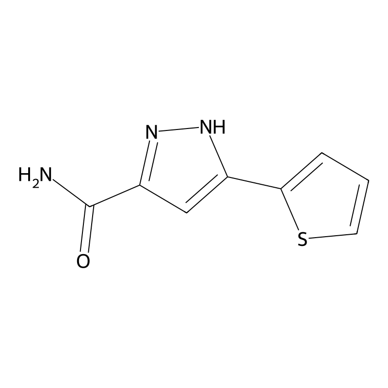 5-(thiophen-2-yl)-1H-pyrazole-3-carboxamide