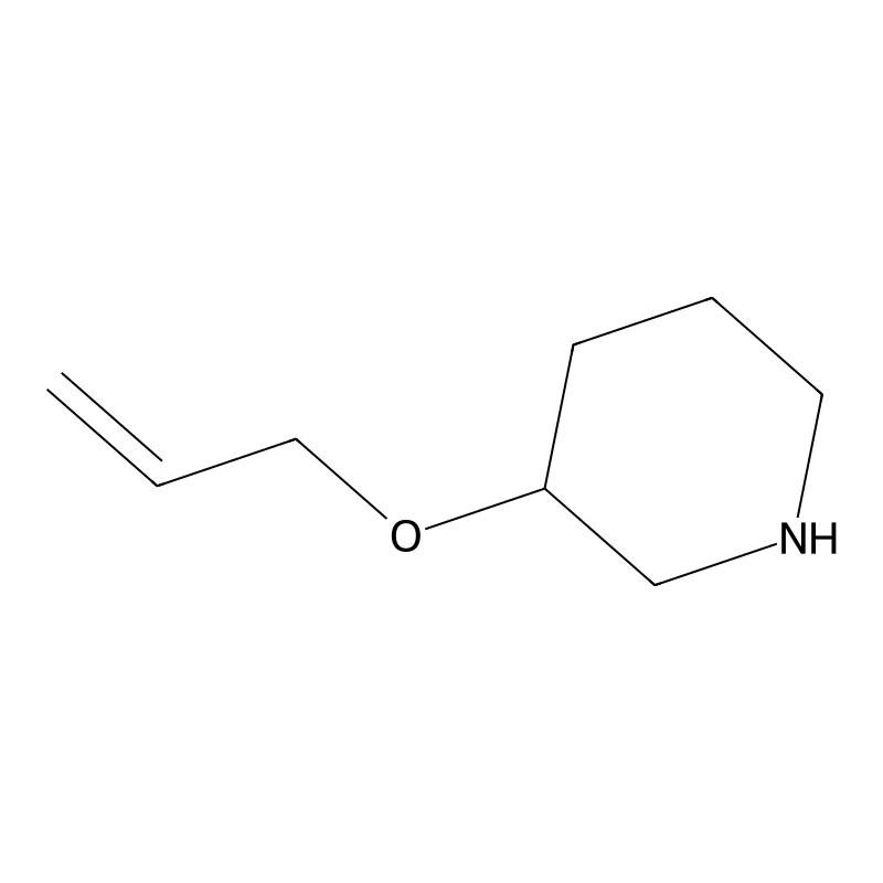 3-(Allyloxy)piperidine
