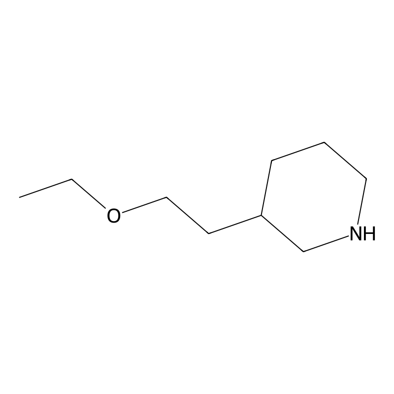3-(2-Ethoxyethyl)piperidine