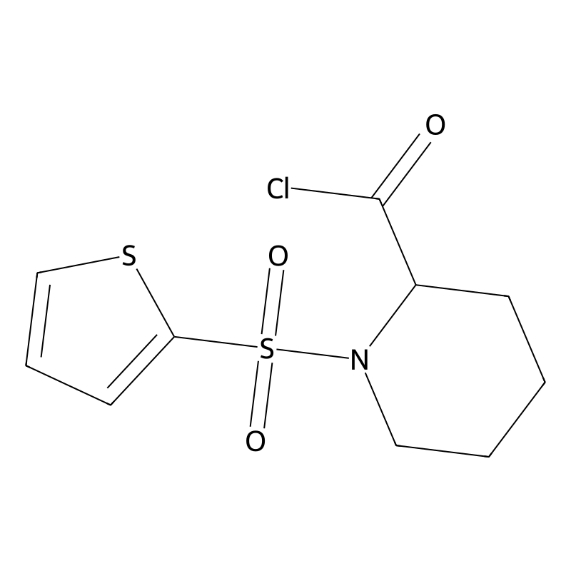 1-(2-Thienylsulfonyl)piperidine-2-carbonyl chlorid...