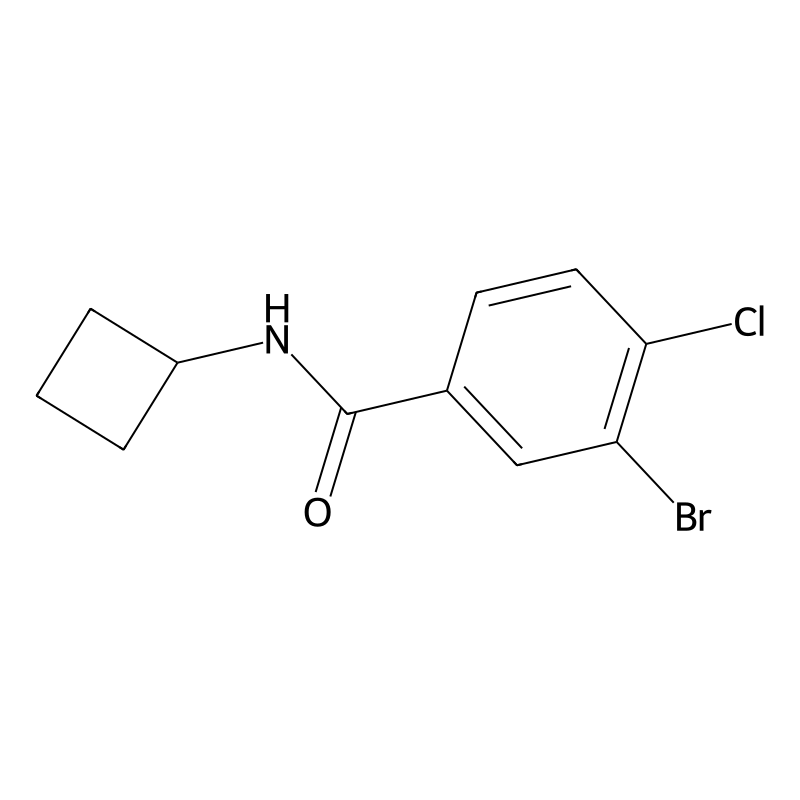 3-Bromo-4-chloro-N-cyclobutylbenzamide