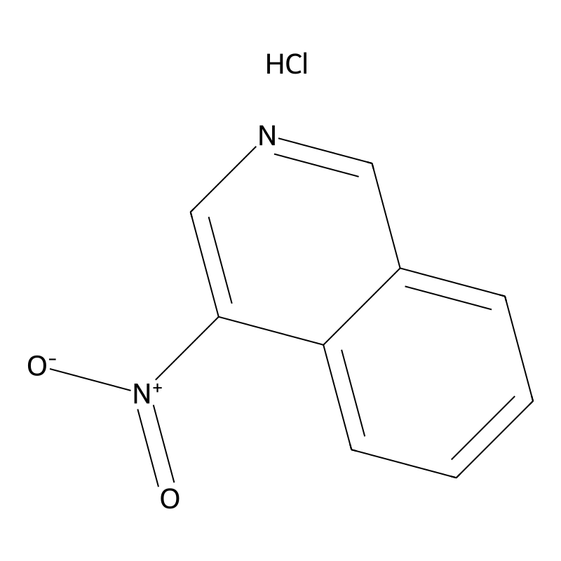 4-Nitroisoquinoline hydrochloride