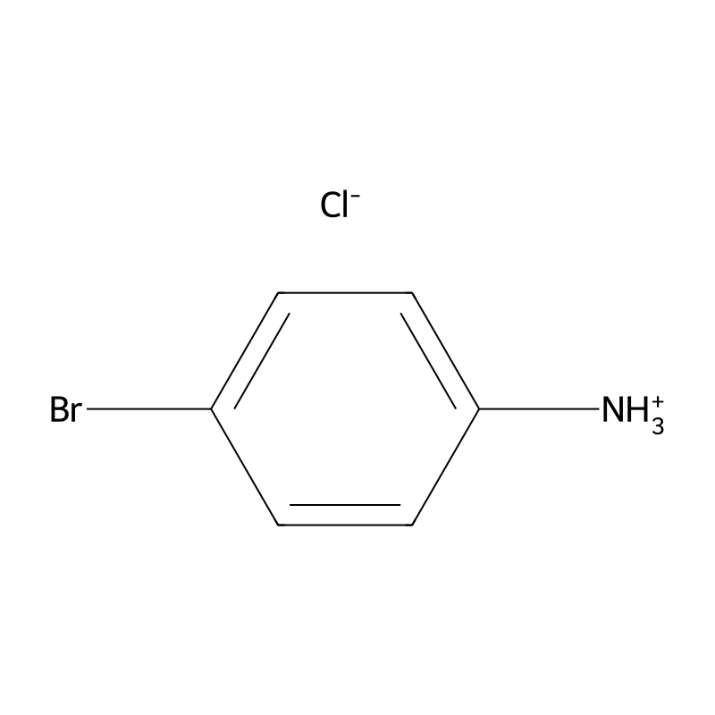4-Bromoanilinium chloride
