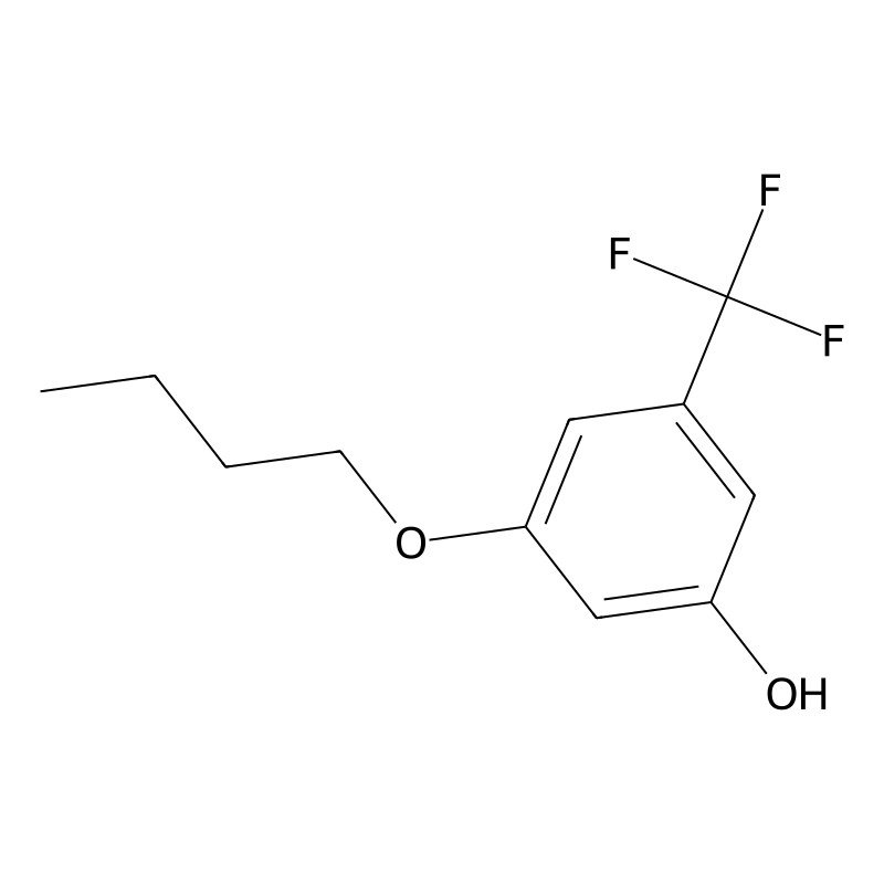 3-Butoxy-5-(trifluoromethyl)phenol