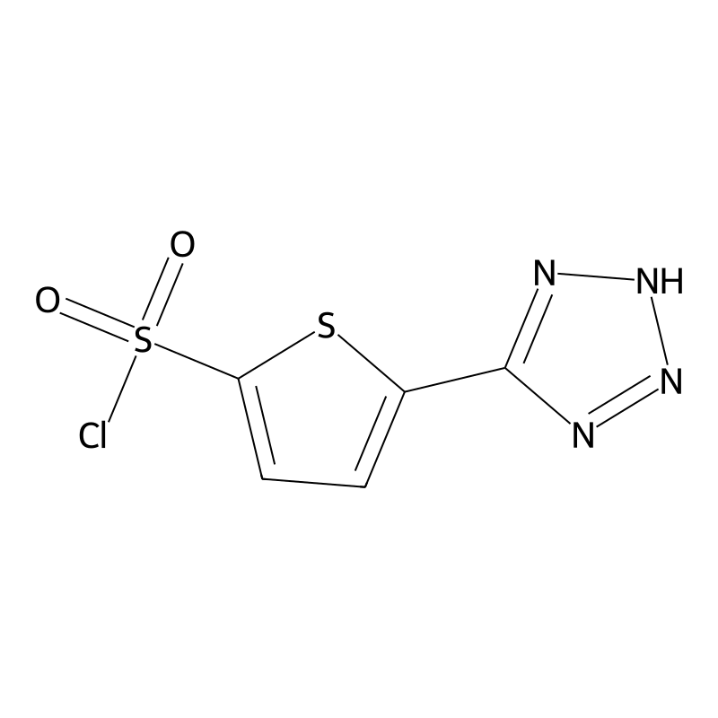 5-(1H-tetrazol-5-yl)thiophene-2-sulfonyl chloride