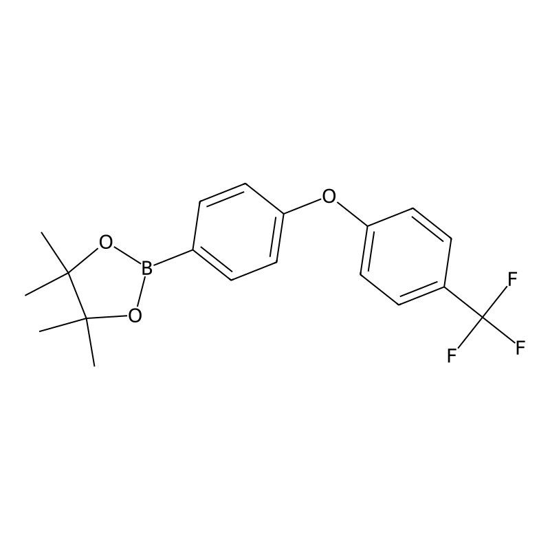 4,4,5,5-Tetramethyl-2-(4-(4-(trifluoromethyl)pheno...