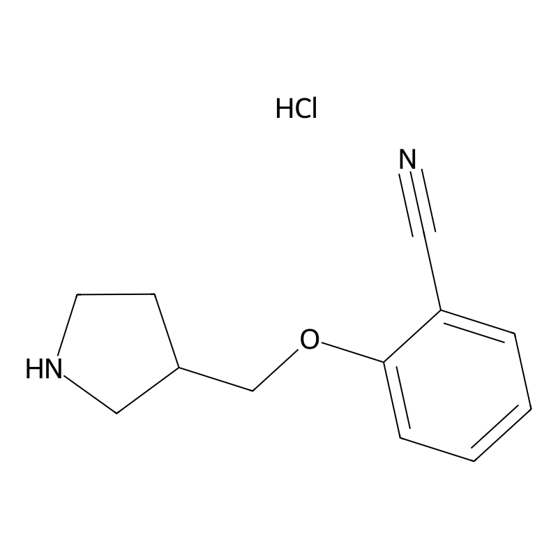 2-(Pyrrolidin-3-ylmethoxy)benzonitrile hydrochlori...
