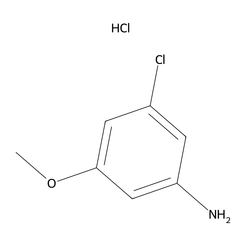3-Chloro-5-methoxyaniline;hydrochloride