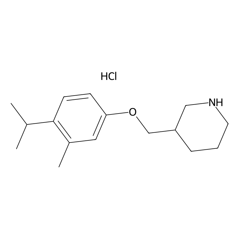 3-[(4-Isopropyl-3-methylphenoxy)methyl]piperidine ...