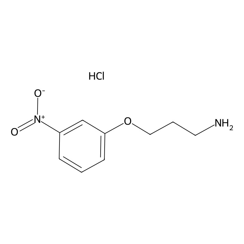 3-(3-Nitrophenoxy)propylamine HCl