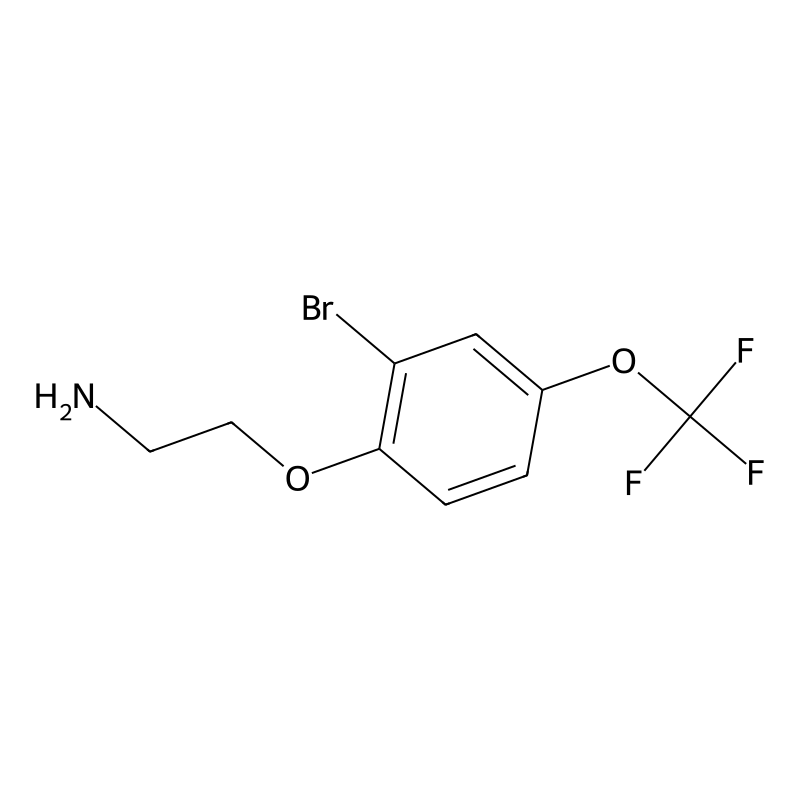 2-(2-Bromo-4-trifluoromethoxy-phenoxy)-ethylamine