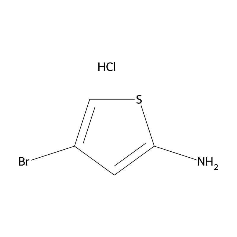 4-Bromothiophen-2-amine hydrochloride
