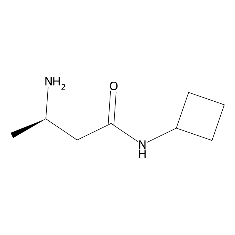 (R)-3-Amino-N-cyclobutylbutanamide
