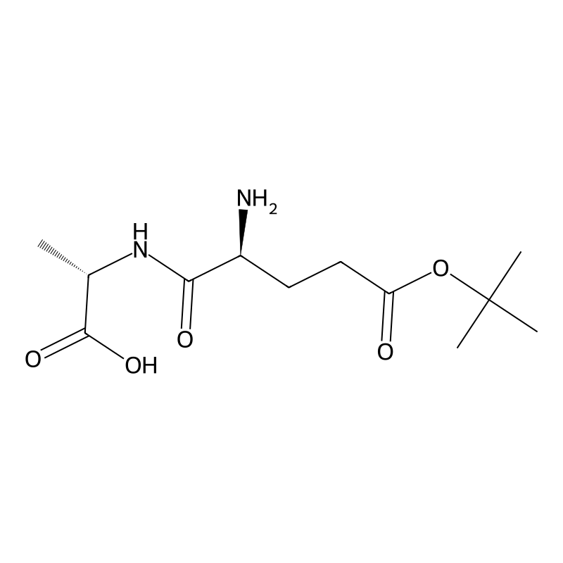 (S)-2-((S)-2-amino-5-(tert-butoxy)-5-oxopentanamid...