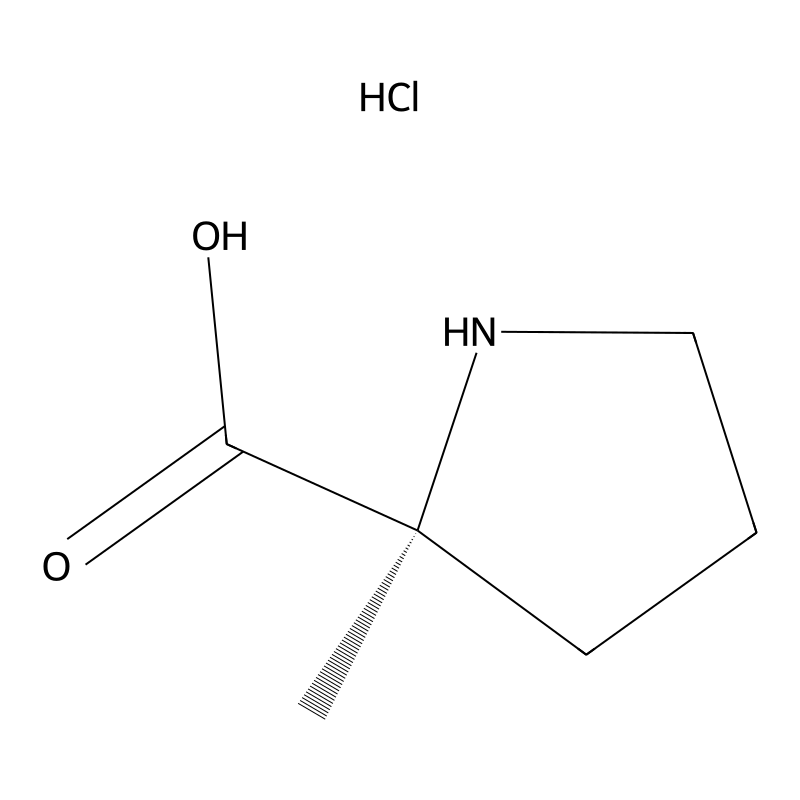 (S)-2-methylpyrrolidine-2-carboxylic acid Hydrochl...