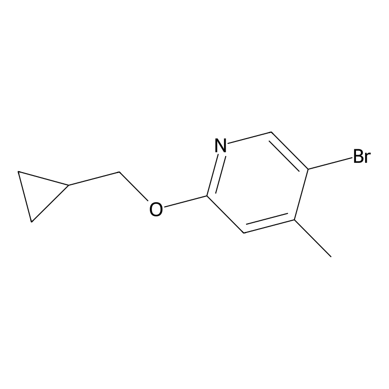 5-Bromo-2-cyclopropylmethoxy-4-methyl-pyridine