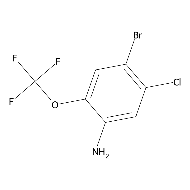 4-Bromo-5-chloro-2-(trifluoromethoxy)aniline
