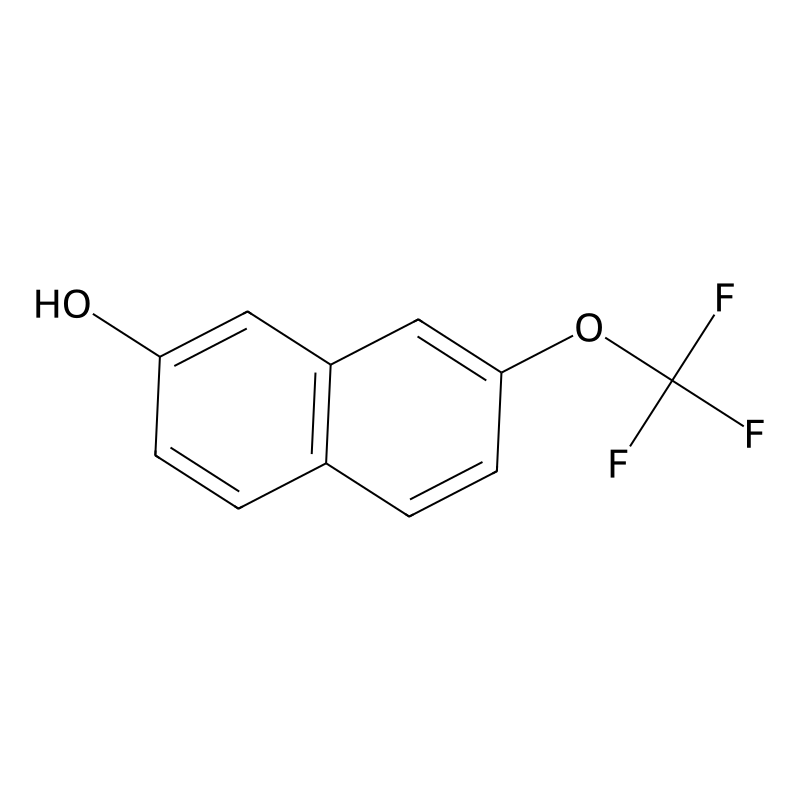 7-(Trifluoromethoxy)naphthalen-2-ol