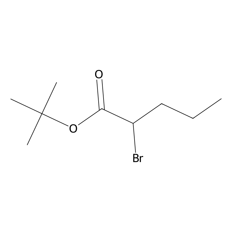 tert-Butyl 2-bromopentanoate