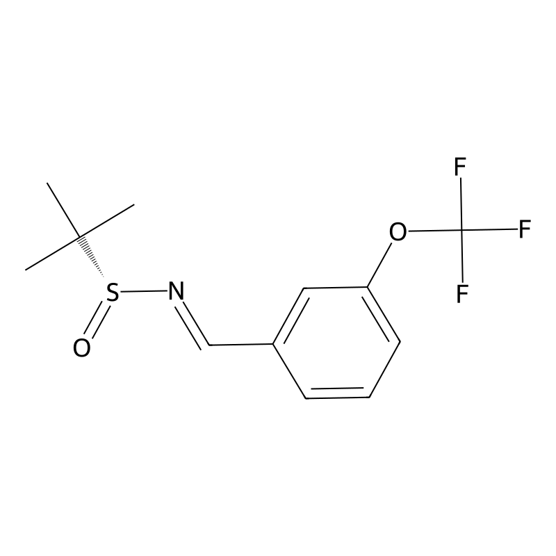 (NE,R)-2-methyl-N-[[3-(trifluoromethoxy)phenyl]methylidene]propane-2-sulfinamide