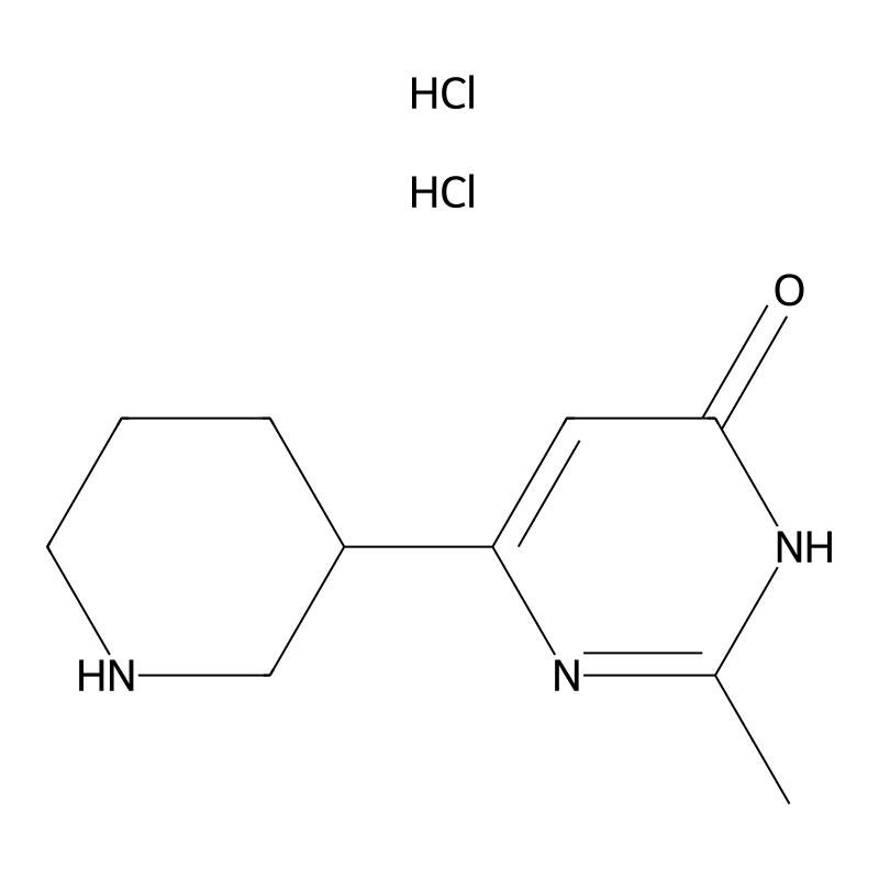 2-Methyl-6-(3-piperidinyl)-4-pyrimidinol dihydroch...