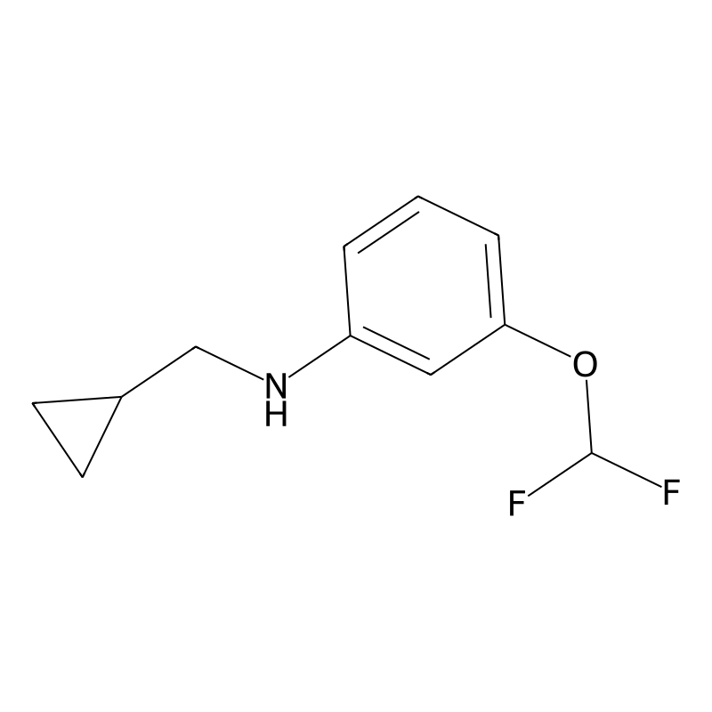 N-(cyclopropylmethyl)-3-(difluoromethoxy)aniline
