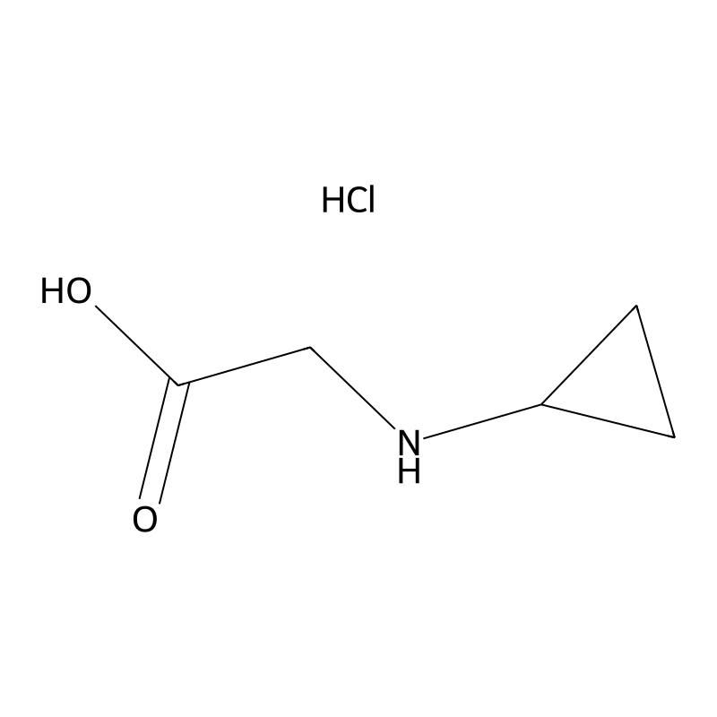 2-(Cyclopropylamino)acetic acid hydrochloride