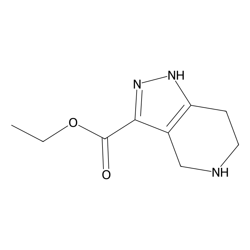 ethyl 4,5,6,7-Tetrahydro-1H-pyrazolo[4,3-c]pyridin...