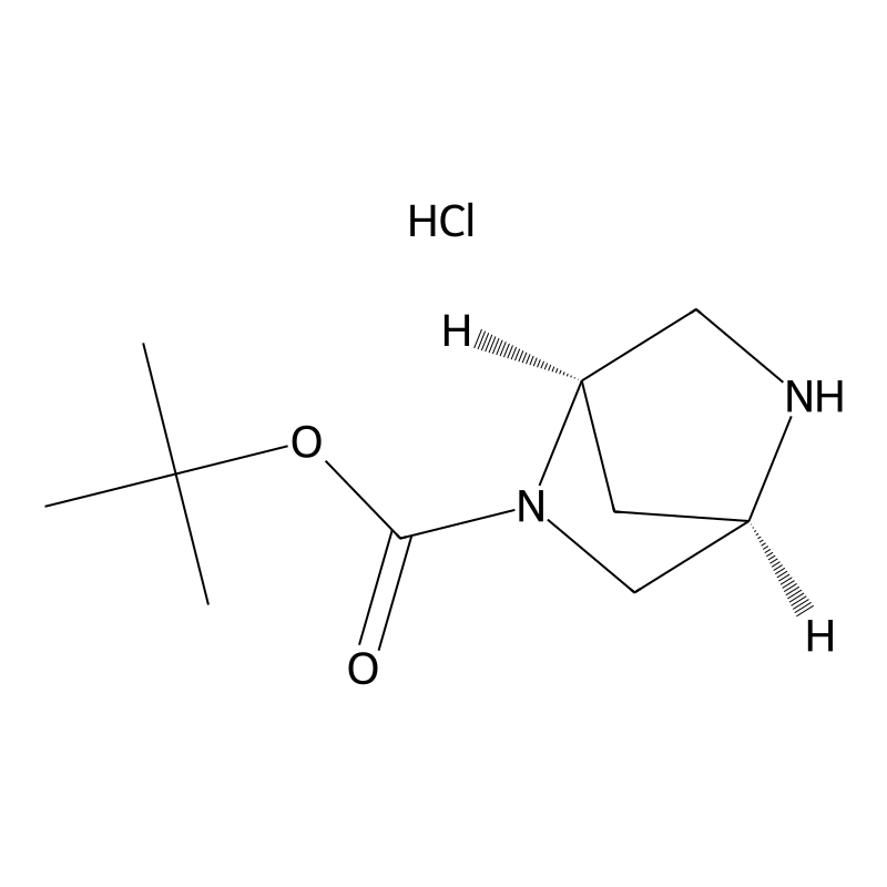 (1R,4R)-tert-butyl 2,5-diazabicyclo[2.2.1]heptane-...
