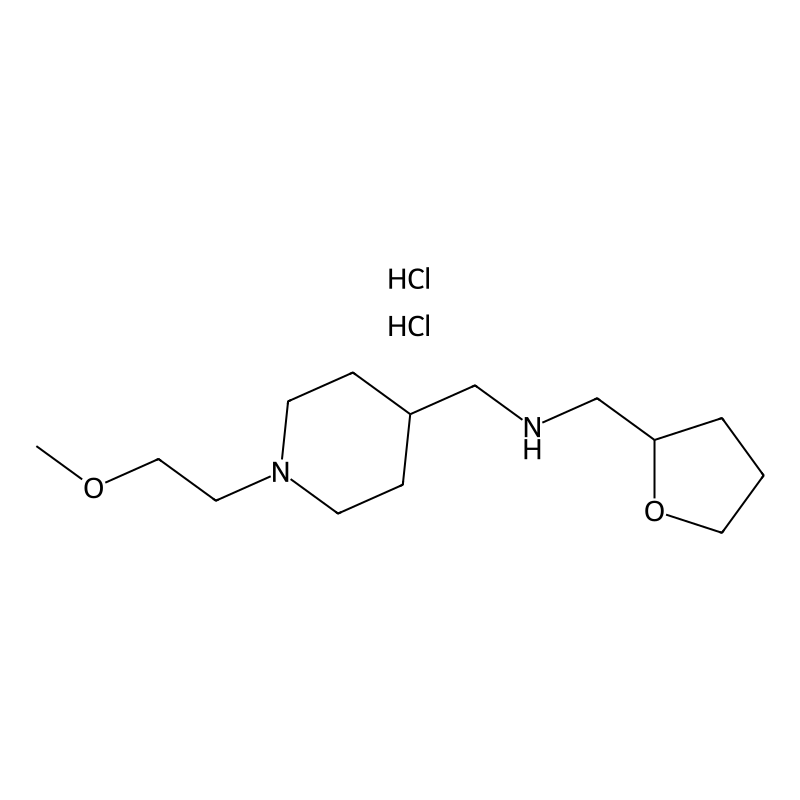 {[1-(2-Methoxyethyl)piperidin-4-yl]methyl}(tetrahy...