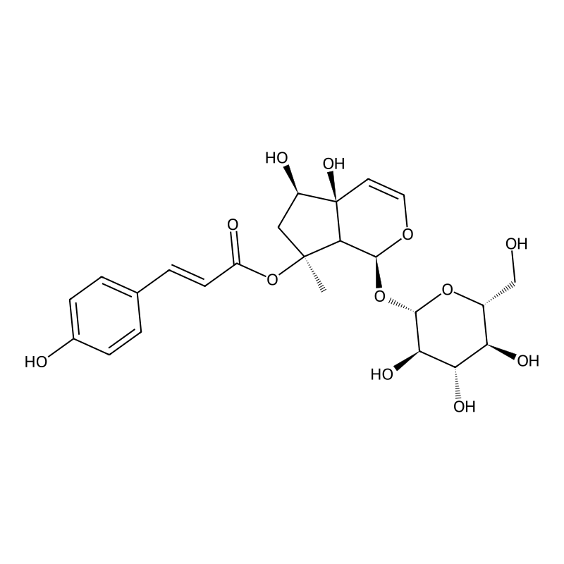 8-O-4-Hydroxycinnamoylharpagide